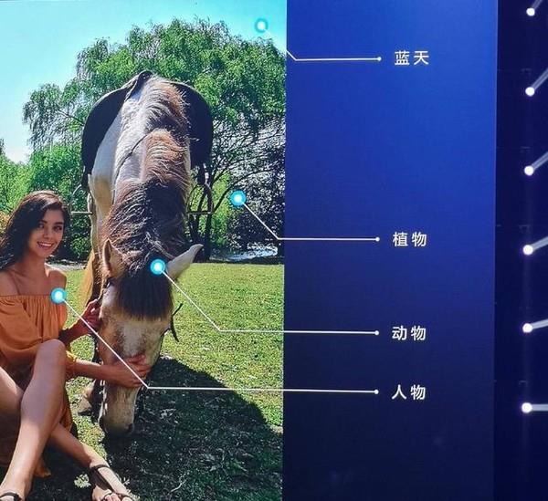 手机里的AI怎么火起来的？是噱头还是好帮手