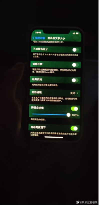 苹果回应iPhone 12屏幕发绿问题 系软件导致