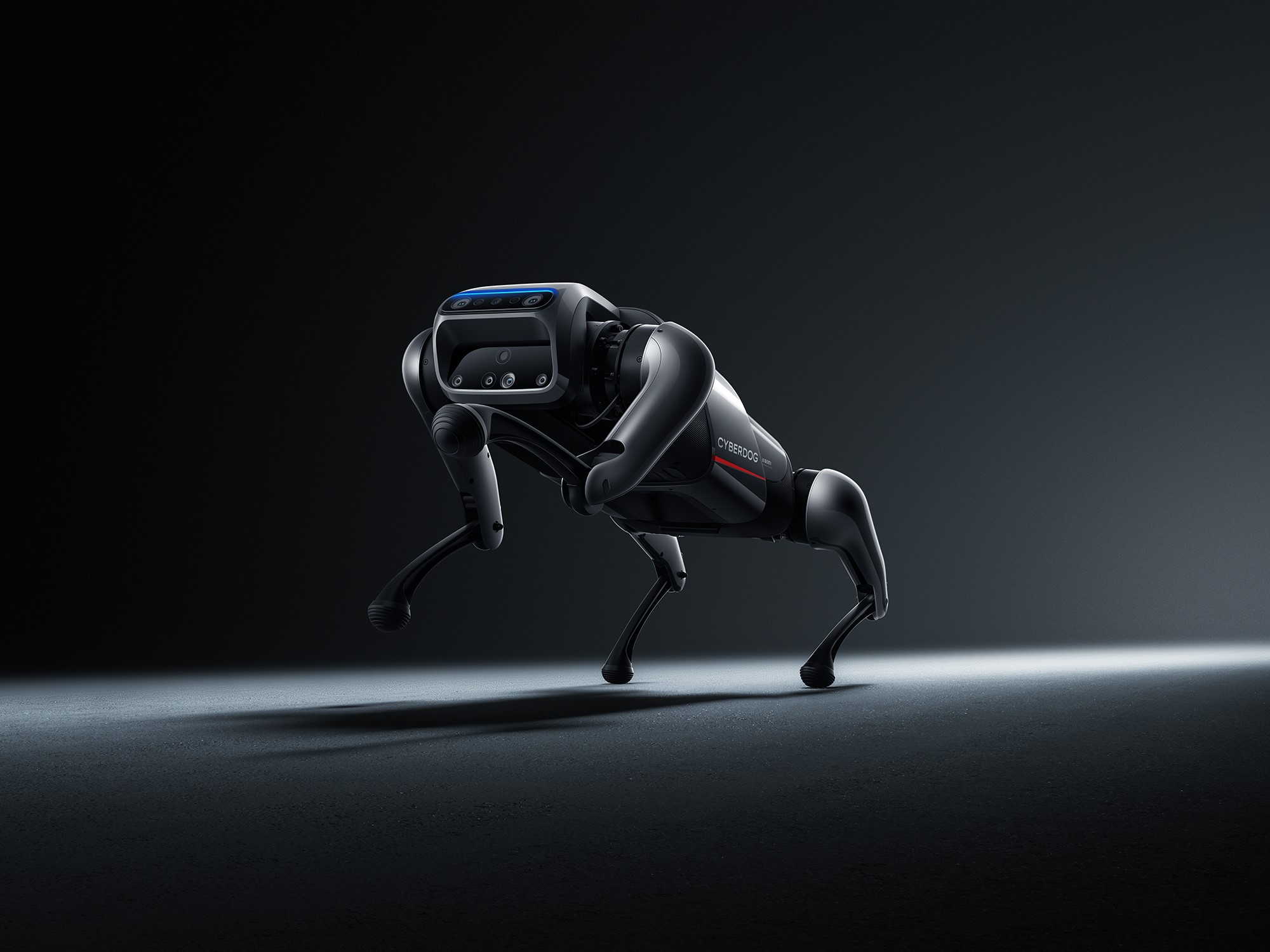 小米首款仿生机器人亮相：命名“铁蛋”